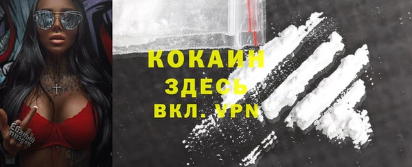 эйфоретик Пересвет