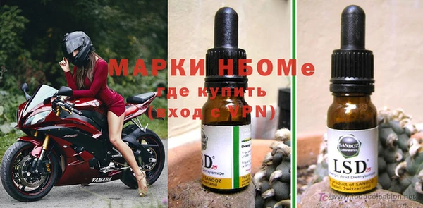 эйфоретик Пересвет