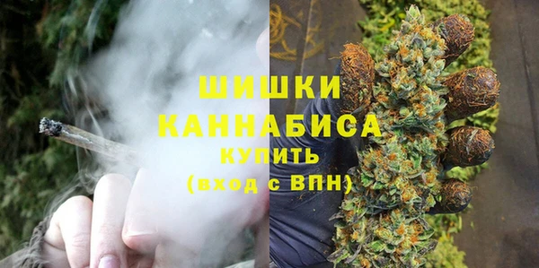 эйфоретик Пересвет