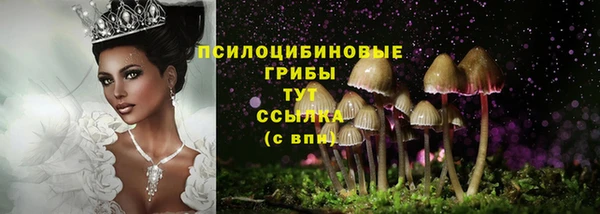 mdma Переславль-Залесский