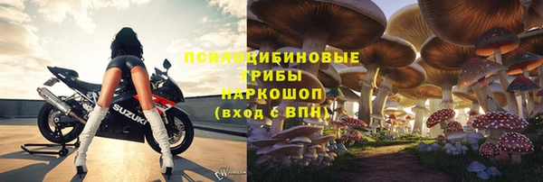эйфоретик Пересвет