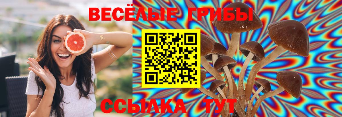 Костомукша  Псилоцибиновые грибы ЛСД  Вход с VPN 