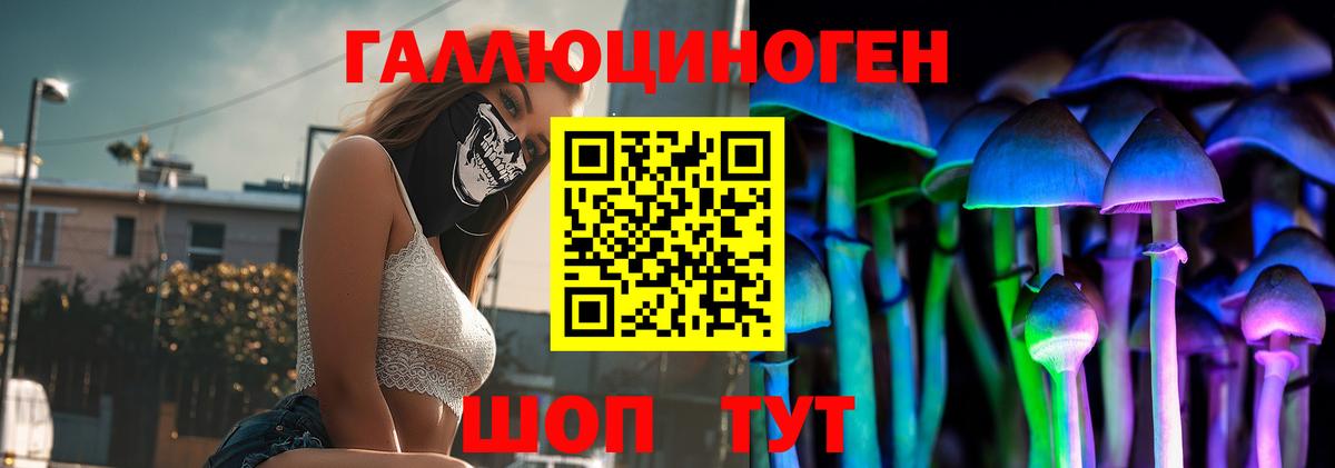 Псилоцибиновые грибы GOLDEN TEACHER Костомукша